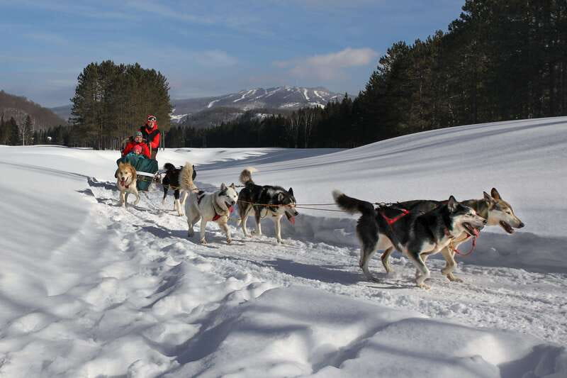 Mont-Tremblant: Guided Dogsledding Tour with Hot Chocolate - Practical booking details to know