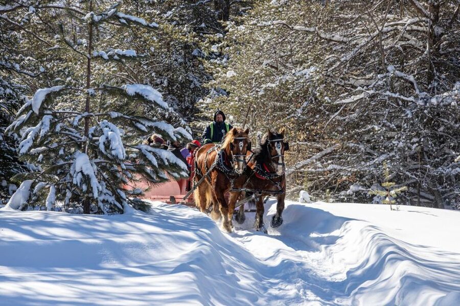Mont-Tremblant: Sleigh Ride w/ Storytelling & Hot Chocolate - A gentle ride into Mont-Tremblant’s winter woods