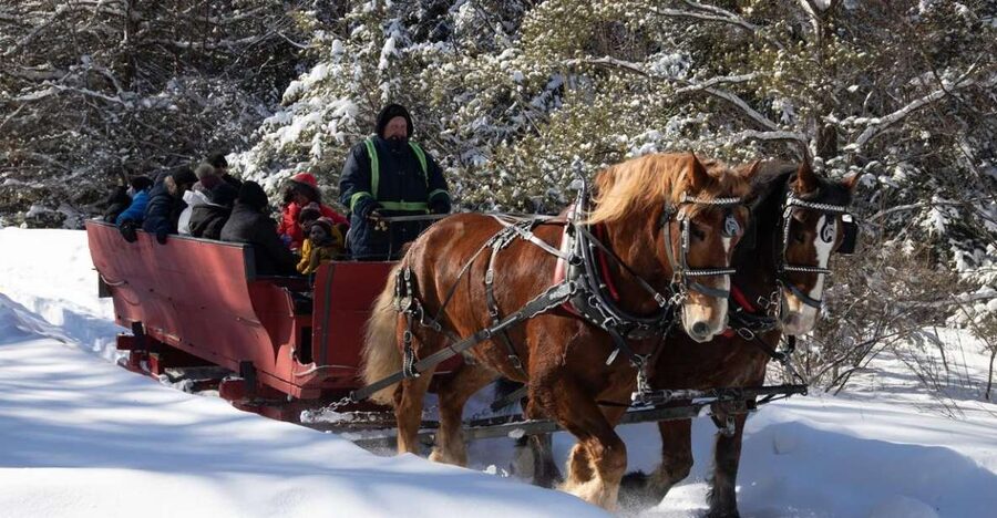 Mont-Tremblant: Sleigh Ride w/ Storytelling & Hot Chocolate - From runners to wheels, depending on the snow