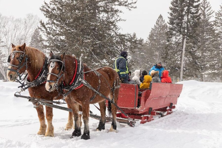 Mont-Tremblant: Sleigh Ride w/ Storytelling & Hot Chocolate - Is $44 a fair price?