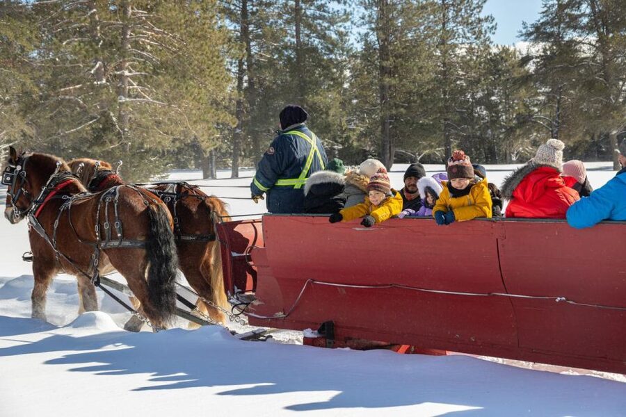 Mont-Tremblant: Sleigh Ride w/ Storytelling & Hot Chocolate - Practical details that make the difference