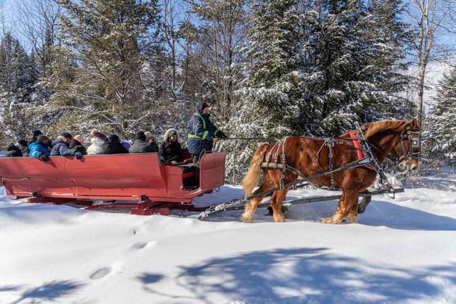 Mont-Tremblant: Sleigh Ride w/ Storytelling & Hot Chocolate - Stories, songs, and live music on the trail
