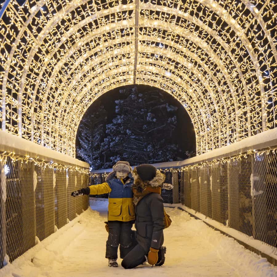 Mont-Tremblant: Treetop Observatory and Self-Guided Walk - Key points before you go