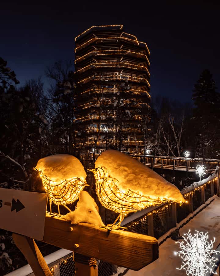 Mont-Tremblant: Treetop Observatory and Self-Guided Walk - Is $35 good value?