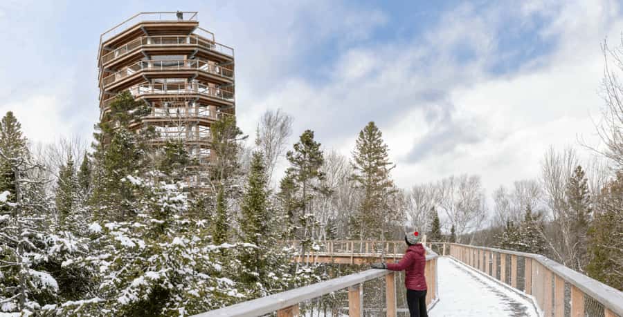 Mont-Tremblant: Treetop Observatory and Self-Guided Walk - Reaching the 40-meter observation tower