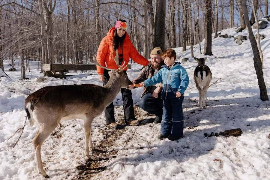 Montebello, QC: Morning VIP Tour at Parc Oméga - Feeding stops bring you close to the animals