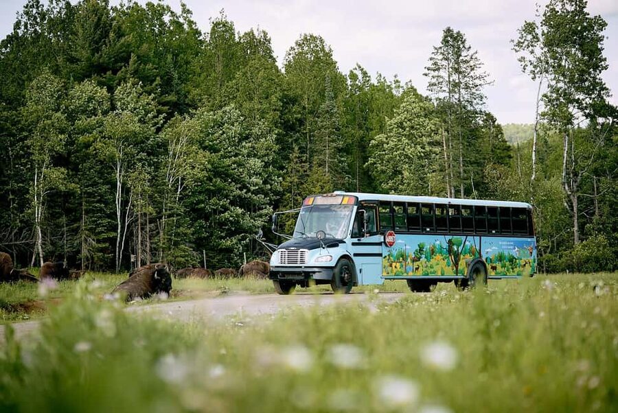 Montebello, QC: Morning VIP Tour at Parc Oméga - Riding the school bus before the park opens