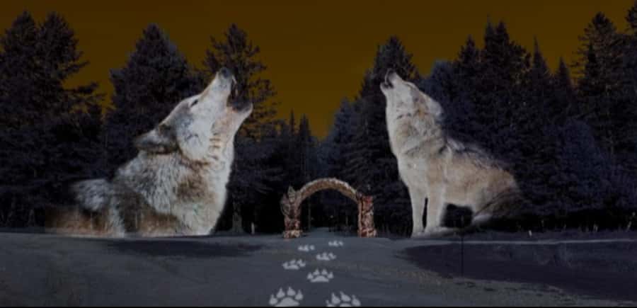 Montebello, QC: Omega Park ONIRO Immersive Experience at Night - Key points to know before you go