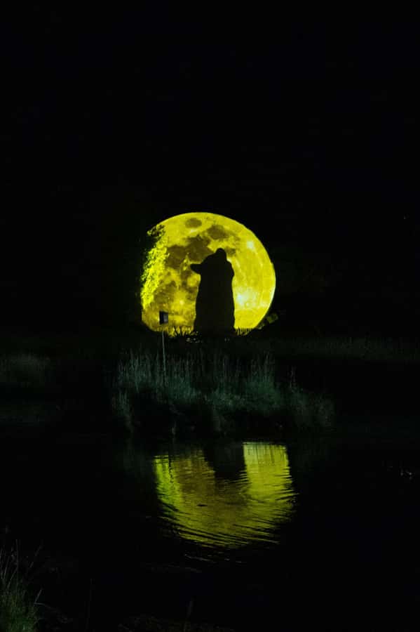 Montebello, QC: Omega Park ONIRO Immersive Experience at Night - Following Oniro through 17 scenes
