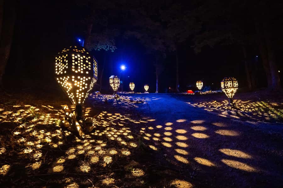 Montebello, QC: Omega Park ONIRO Immersive Experience at Night - What the light, sound, and forest add