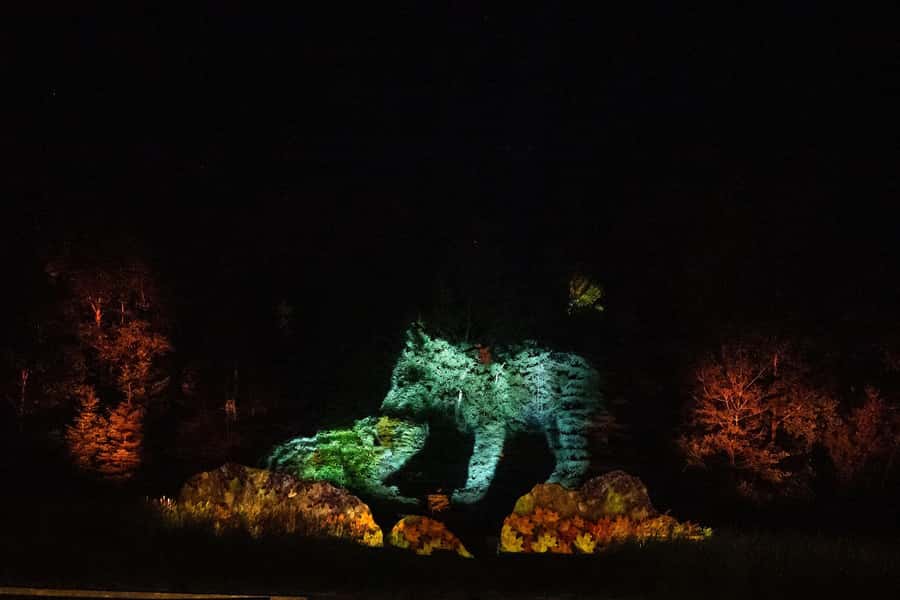 Montebello, QC: Omega Park ONIRO Immersive Experience at Night - The $24 question: is the ticket good value?