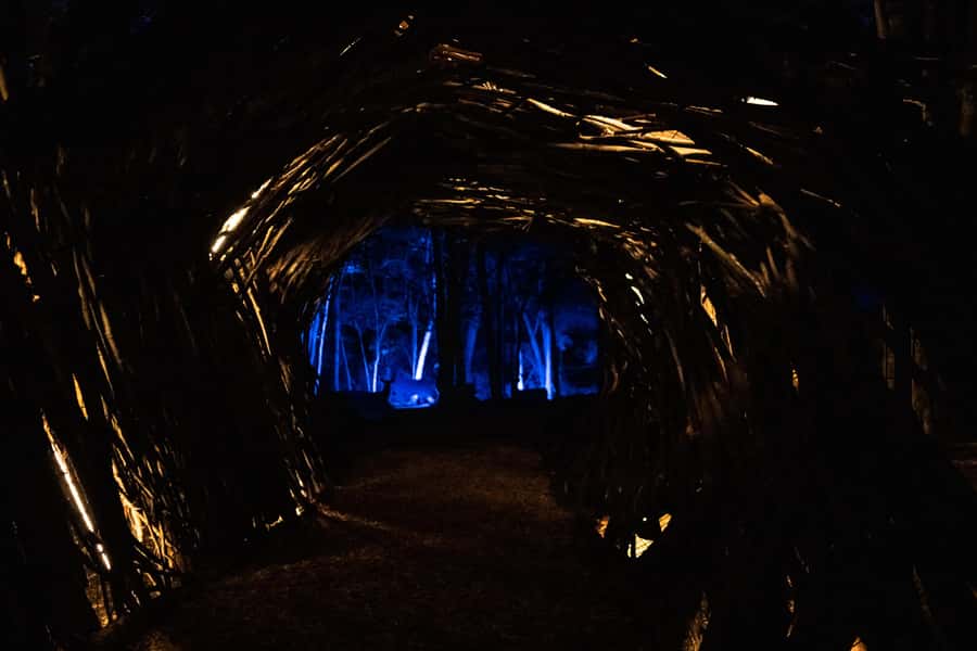 Montebello, QC: Omega Park ONIRO Immersive Experience at Night - Who should book this night walk?