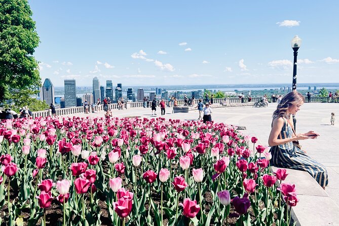 Montreal: 3-Hour Private Car Tour with Expert & Free Pick up - Place d’Armes and Notre-Dame Basilica