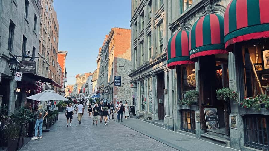 Montreal 3-Hour Private Car Tour with Expert Local Guide - Is $395 a fair price?