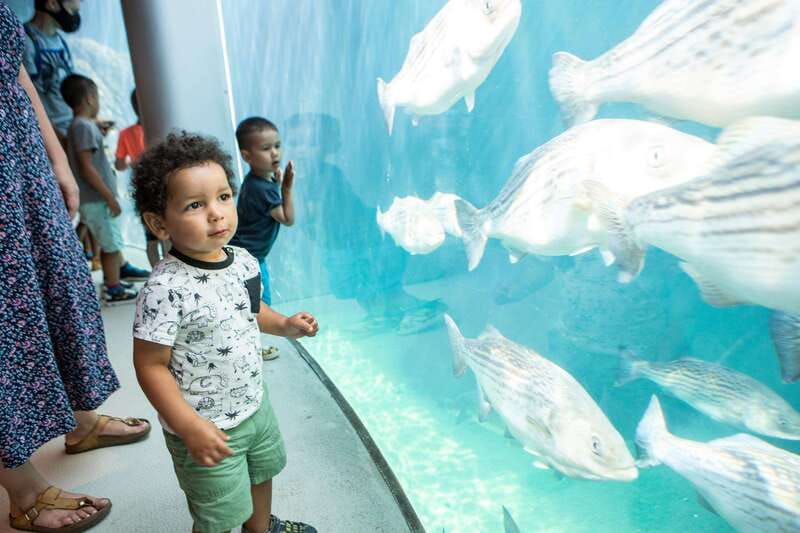 Montreal: 5 Attractions Pass - Who will get the most from Passeport MTL