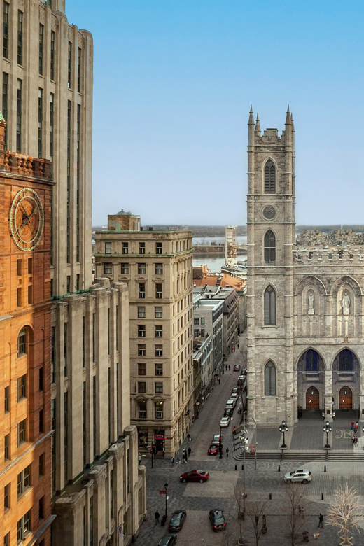 Montreal: AURA Experience at Notre-Dame Basilica and Cruise - How the $72 price works for you
