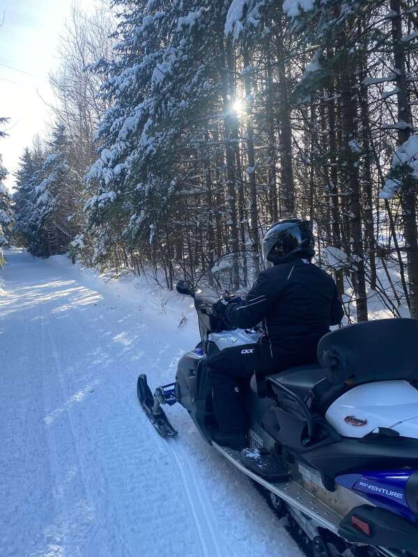 Montreal: Canadian Forest Guided Tour by Snowmobile - Guides, group size, and languages