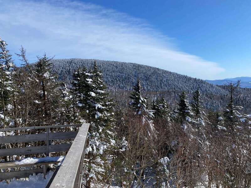Montreal: Canadian Forest Guided Tour by Snowmobile - What to wear and what to bring