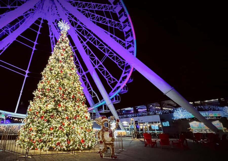 Montreal: Christmas Lights Private Walking Tour - Place des Arts and Montreal’s cultural center