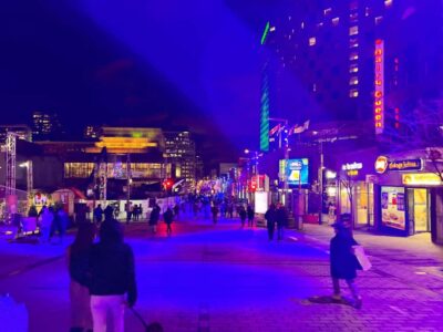 Montreal: Christmas Lights Private Walking Tour