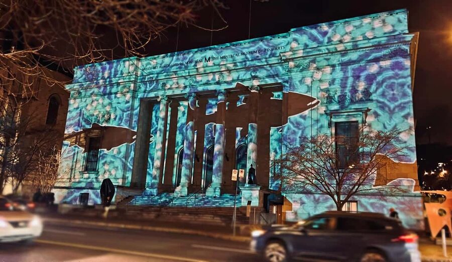 Montreal: Christmas Lights Private Walking Tour - Who will get the most from this Montreal walk