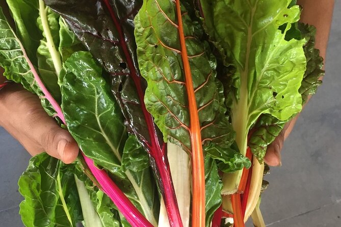 Montreal Cooking Class & Wine Tasting with Michelin Chef Robert - Is $229 a fair price?