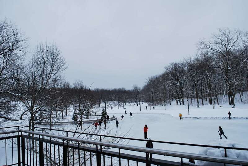 Montreal: Full-Day Small Group City Tour - Old Montreal: lunch, shopping, and a short walk