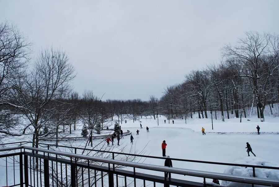Montreal: Full-Day Small Group City Tour - The guide can make or break the day