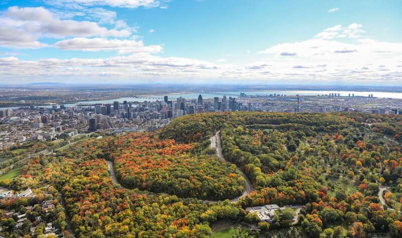 Montreal: Guided Helicopter Tour - What to know about the views and commentary