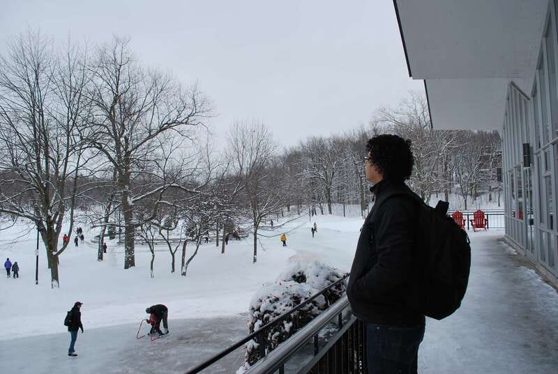 Montreal: Half-Day City Tour - What the guide adds to the ride