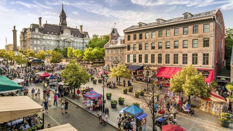 Montreal: Half-day Guided City Tour - Guide Quality and Language Considerations
