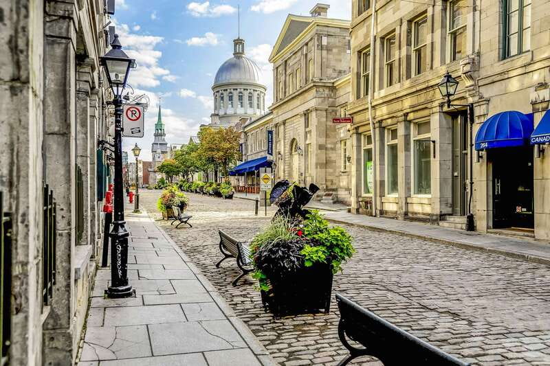 Montreal: Hop-On Hop-Off Double-Decker Bus Tour - Live guides make the ride more than transport