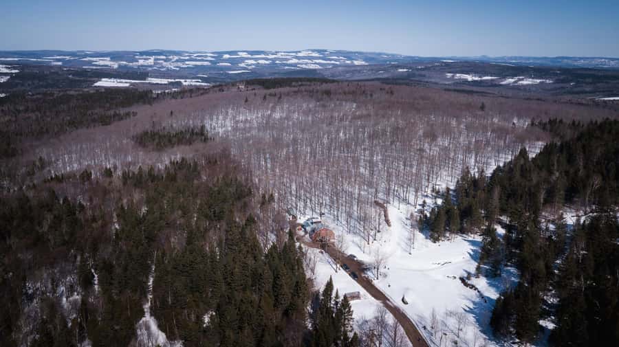 Montréal: Maple Syrup Tasting Conference! - Making taffy on snow