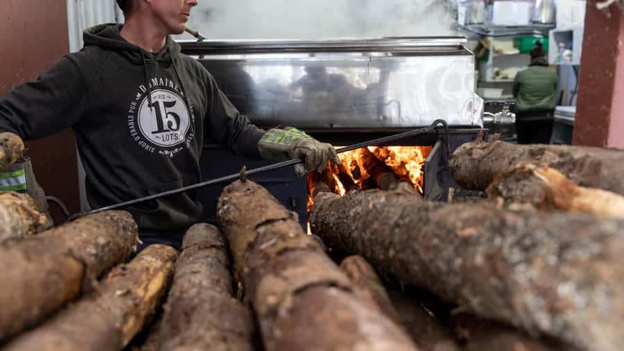 Montréal: Maple Syrup Tasting Conference! - The $22 price and what you receive