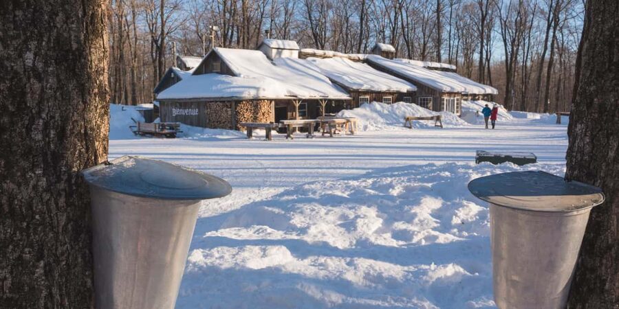Montreal: Maple Syrup Tour with Sugar Shack & Local Cuisine - Seeing How Maple Syrup Is Made