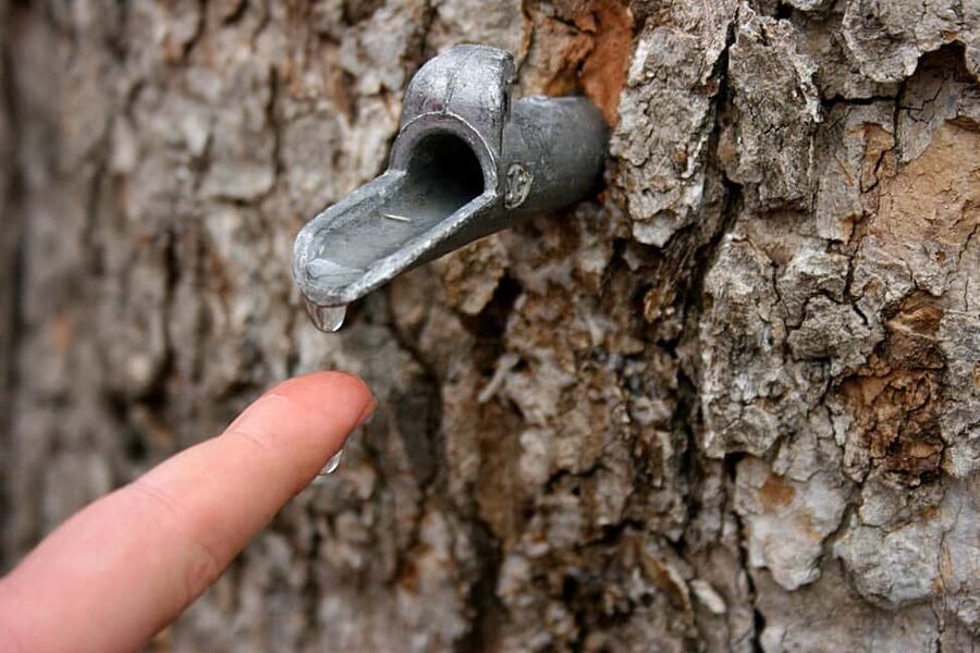 Montreal: Maple Syrup Tour with Sugar Shack & Local Cuisine - Tire d’érable, the Sweet Finish