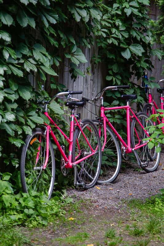 Montreal: Non Touristy Pink Bike Tour - Who will enjoy this ride most?