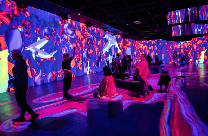 Montreal: OASIS Immersion Entry Ticket - Who should book OASIS Immersion?