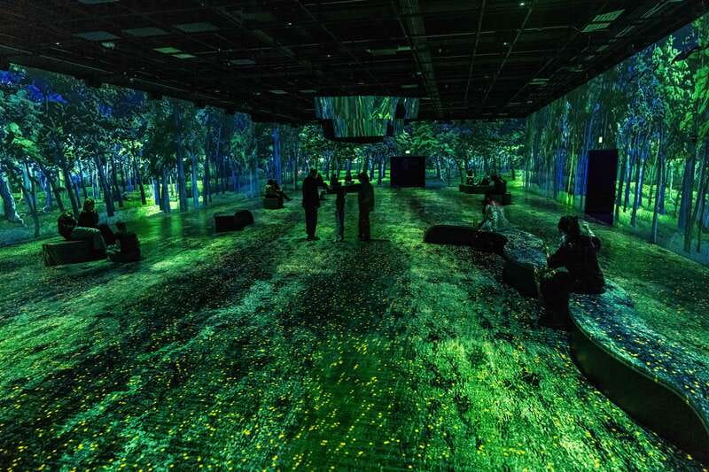 Montreal: OASIS Immersion Entry Ticket - Timing, comfort, and practical advice