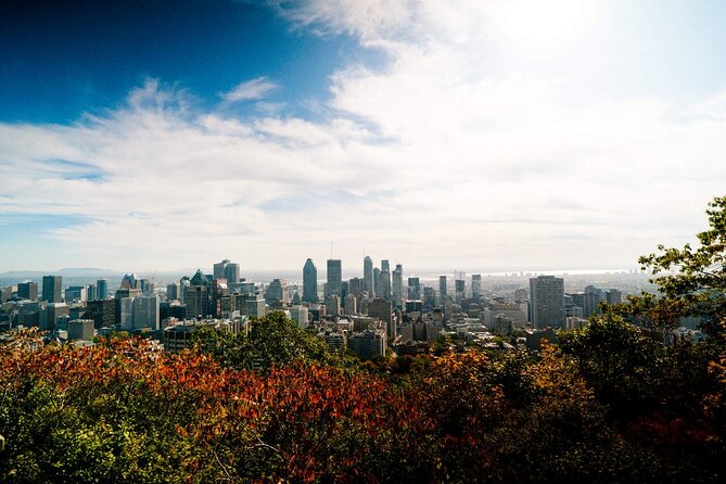 Montreal Premium Driving Tour with River Cruise and Notre Dame - How the $127.68 price holds up