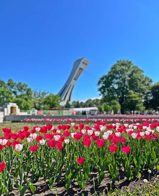 Montreal: Private 2h Walking Tour RESO and Old Montreal - Key points to know before booking