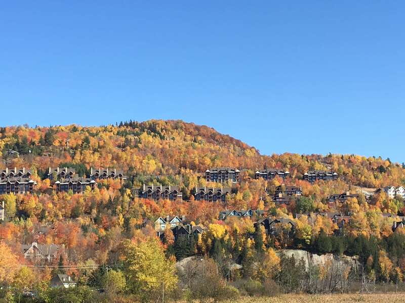 Montreal: Private Day Tour to Mont Tremblant - Who should book this Mont Tremblant trip?