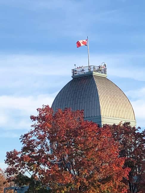 Montreal: Private Walking Tour with a Local - Price and value at $40 per person