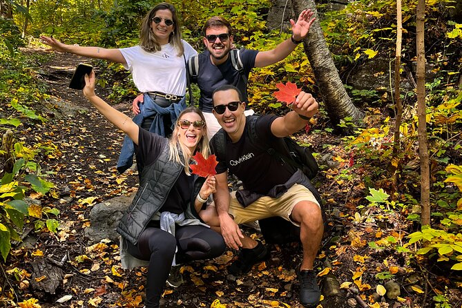 Montreal's Mount Royal Tour - The Panoramic Payoff