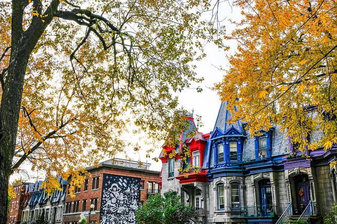 Montreal's Plateau Mont-Royal and Mile End Tour by MTL Detours - Key points to know before booking