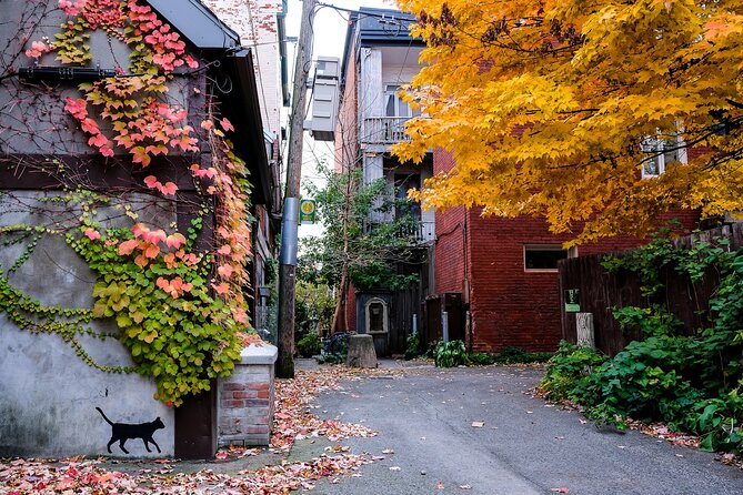Montreal's Plateau Mont-Royal and Mile End Tour by MTL Detours - Moving from the Plateau into Mile End