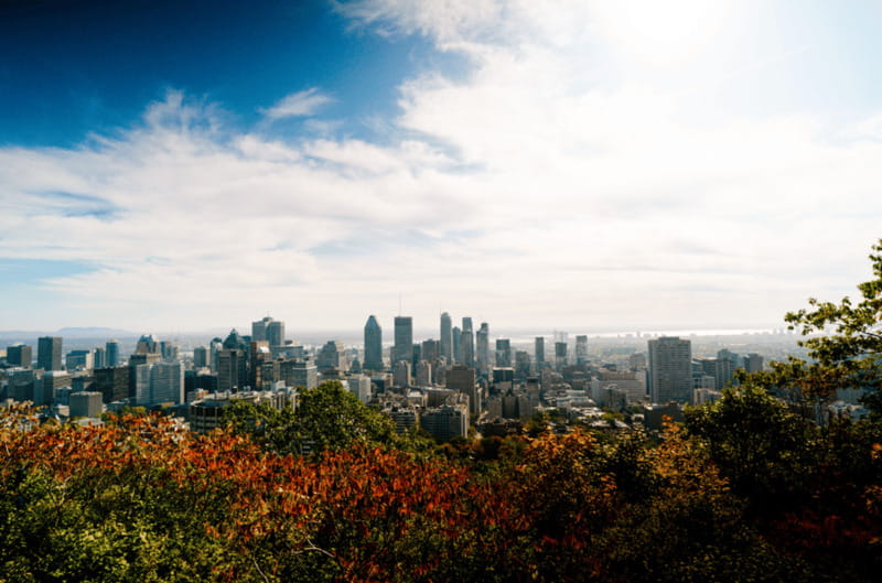 Montreal: Small Group Tour with River Cruise and Notre Dame - The Port of Montreal Tower adds one more viewpoint