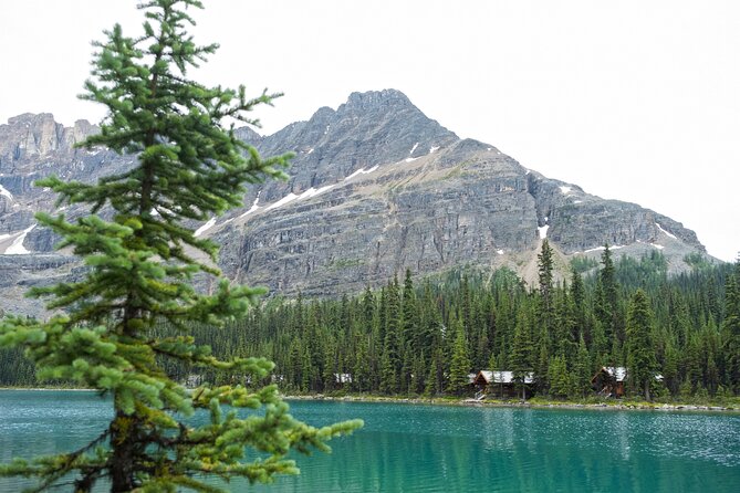 Moraine Lake and Lake Louise Sightseeing Half Day Tour - Who will appreciate this tour most