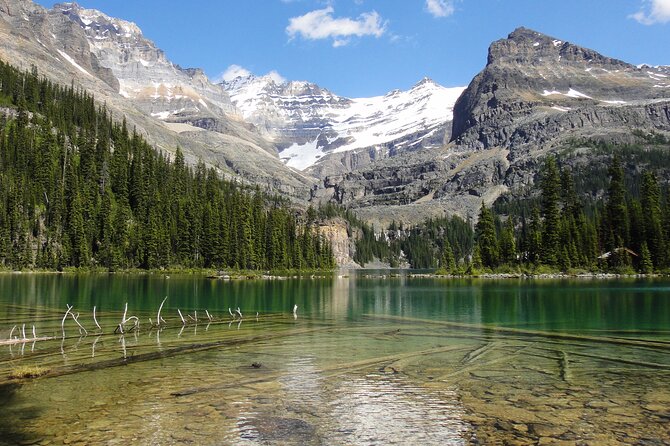Moraine Lake and Lake Louise Sightseeing Half Day Tour - Cancellation and booking details