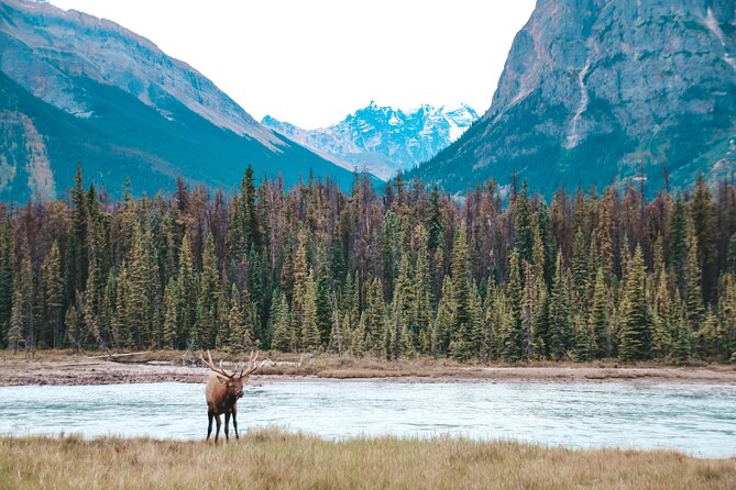 Moraine Lake, Lake Louise & Banff Secrets | Award-Winning Tour - Moraine Lake: the day’s essential stop